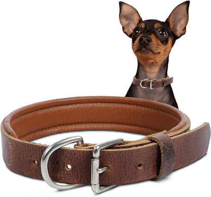 Corrida Collar de piel natural para perros (Paquete con 12 piezas)