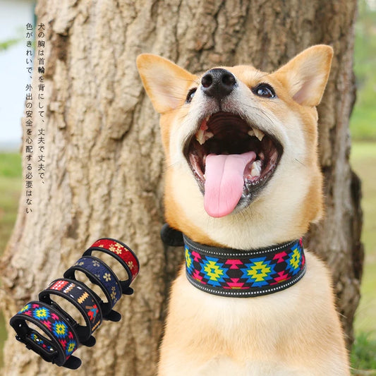 Corrida Collar huichol para perros (Paquete con 12 piezas)