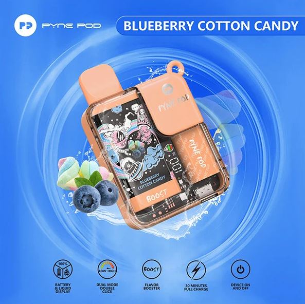 Pyne Pod Boost - 8,500 Puffs